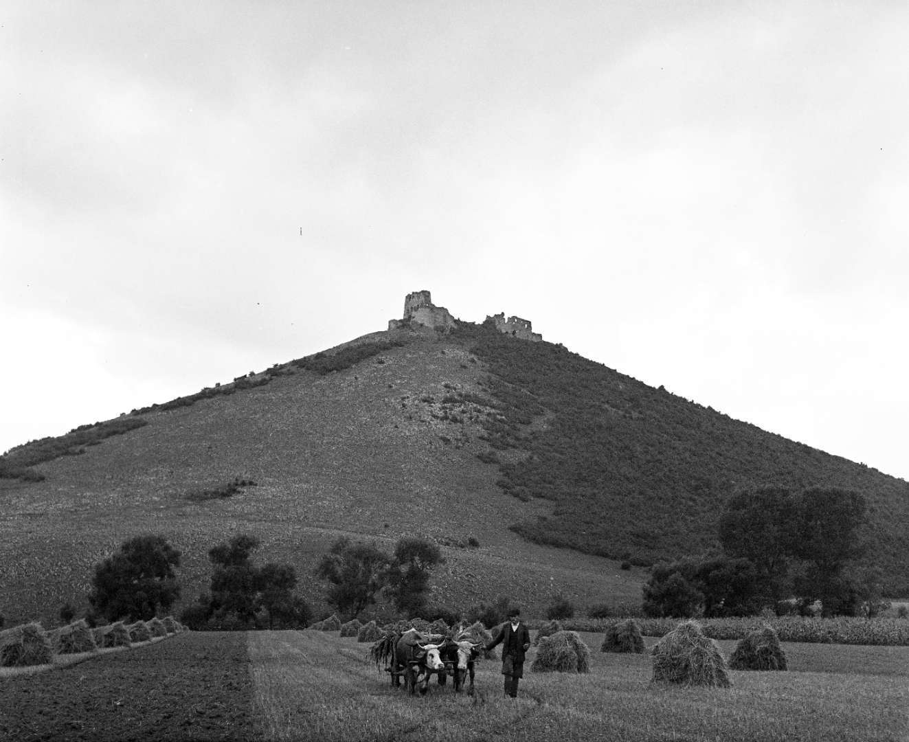 Turňa nad Bodvou v rokoch 1938 - 1945